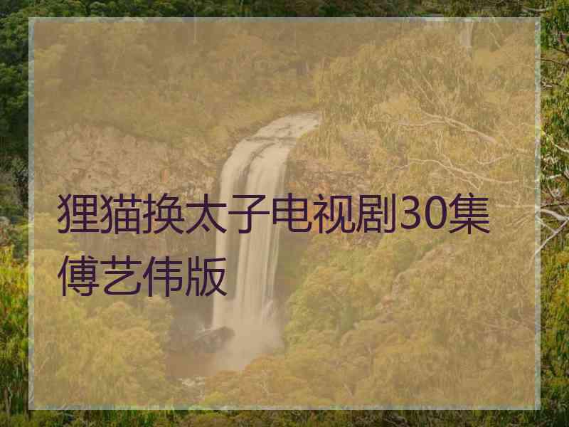 狸猫换太子电视剧30集傅艺伟版