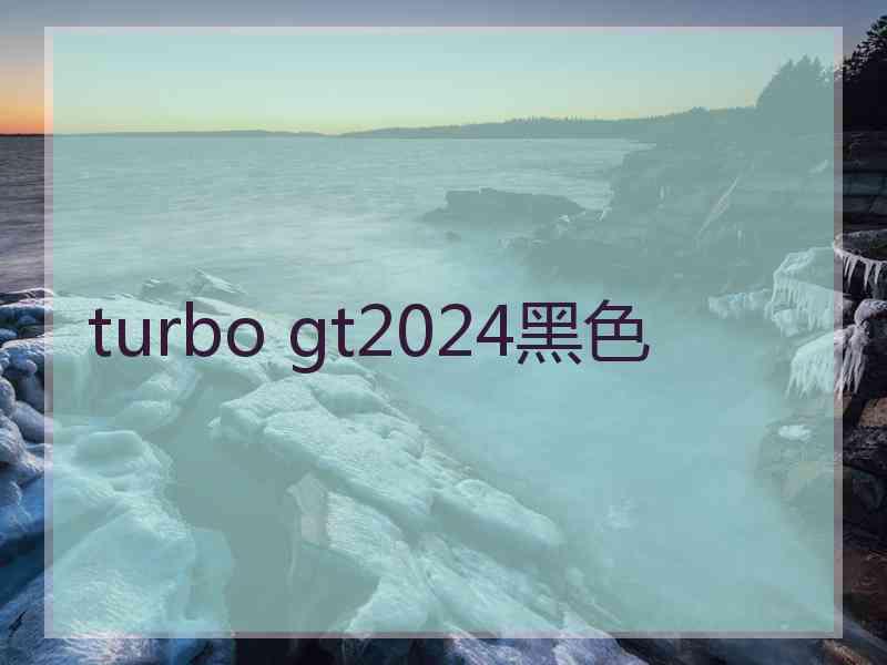 turbo gt2024黑色