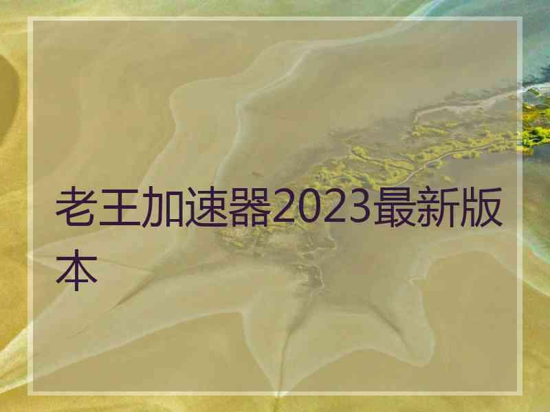 老王加速器2023最新版本