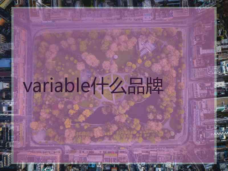 variable什么品牌