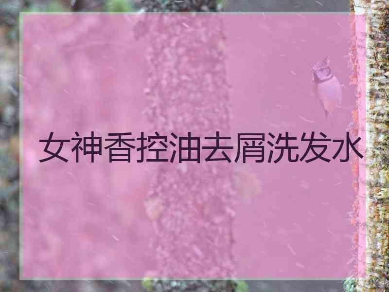 女神香控油去屑洗发水