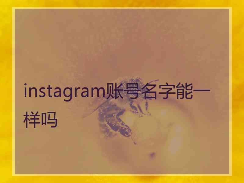 instagram账号名字能一样吗