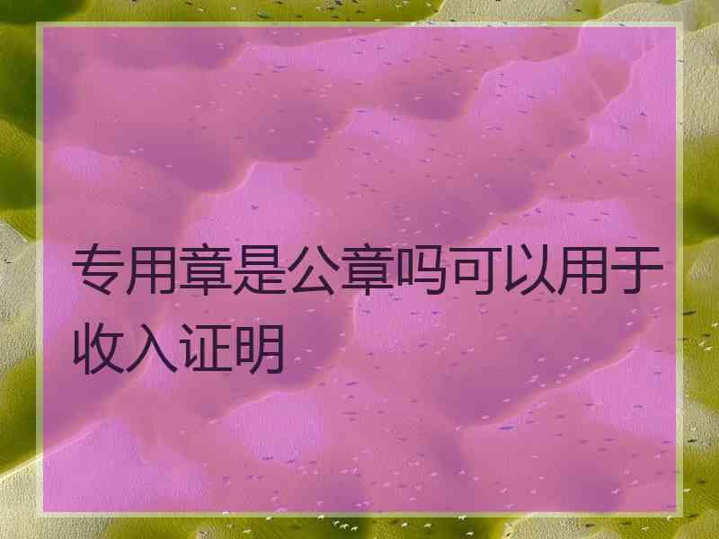 专用章是公章吗可以用于收入证明