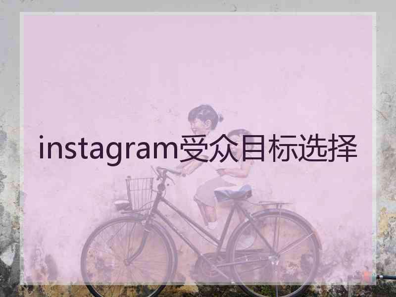 instagram受众目标选择