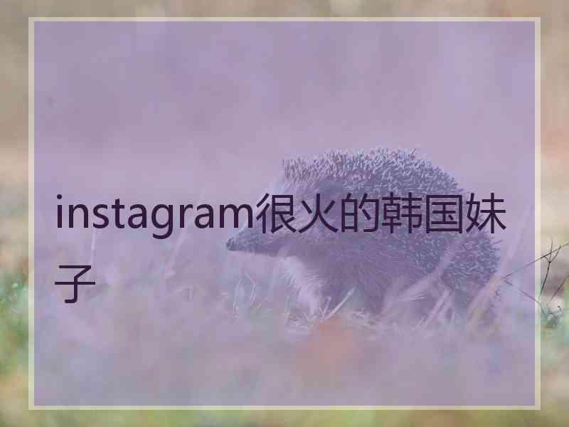 instagram很火的韩国妹子