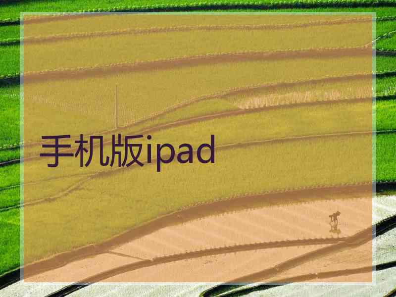 手机版ipad