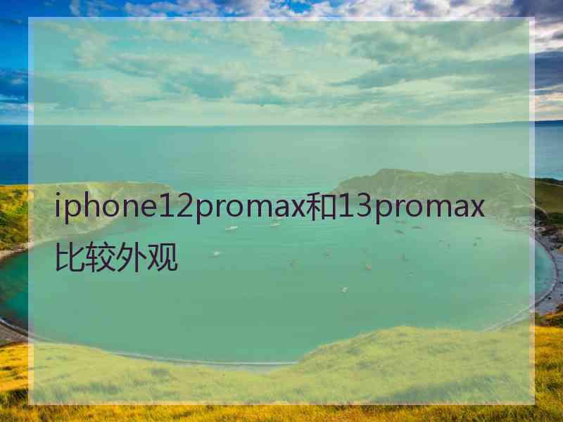 iphone12promax和13promax比较外观