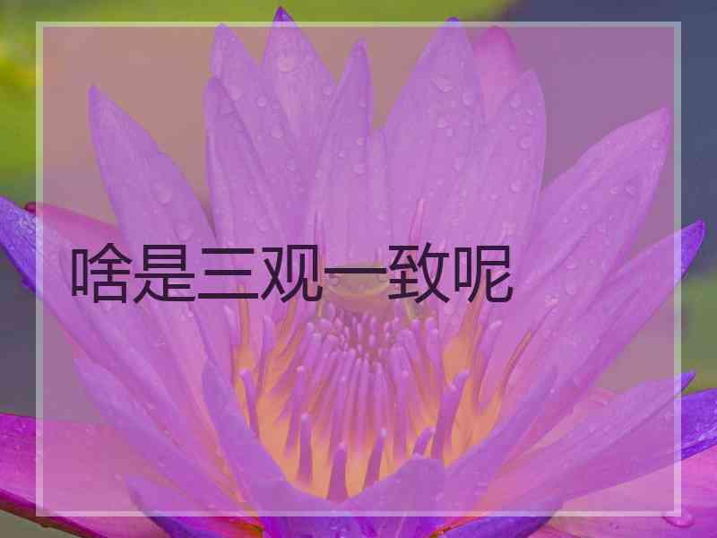 啥是三观一致呢