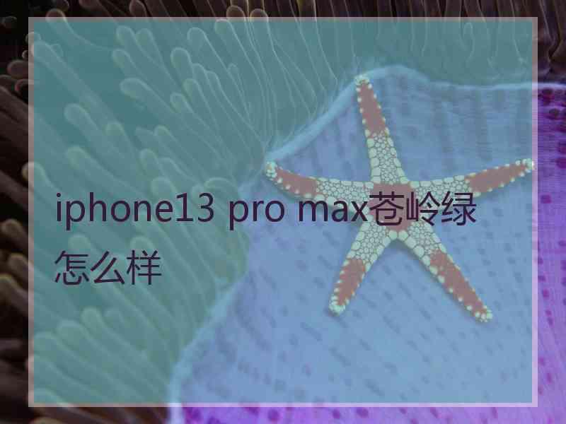 iphone13 pro max苍岭绿怎么样