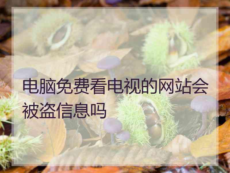 电脑免费看电视的网站会被盗信息吗