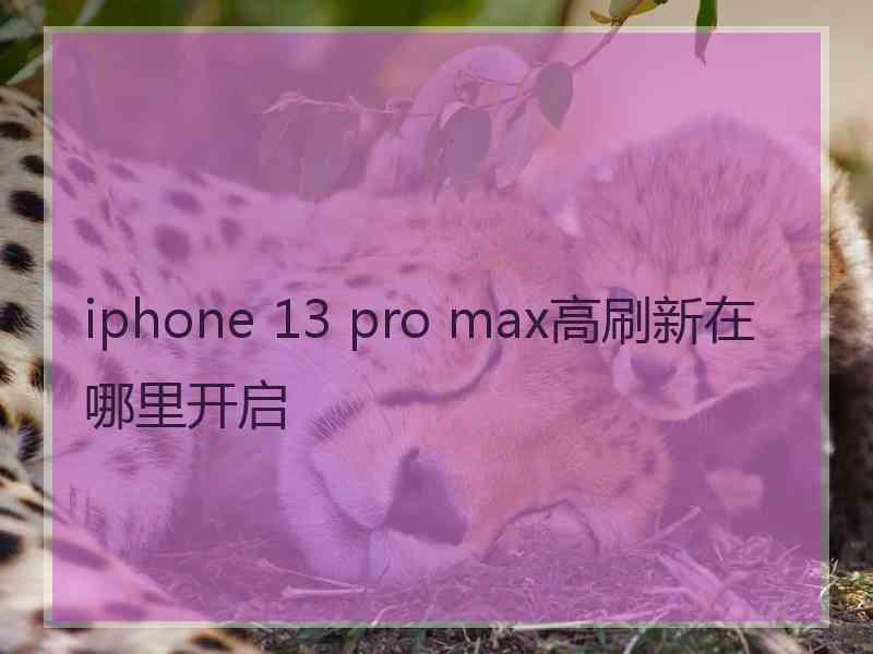 iphone 13 pro max高刷新在哪里开启