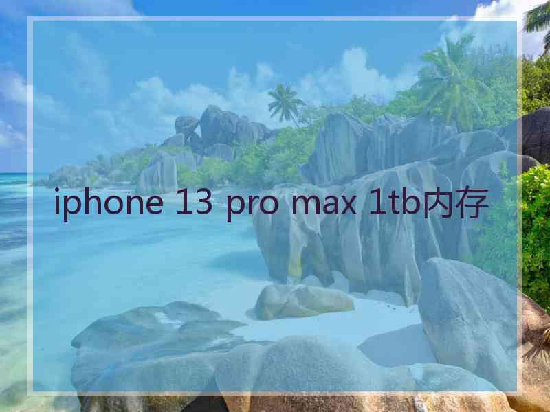 iphone 13 pro max 1tb内存