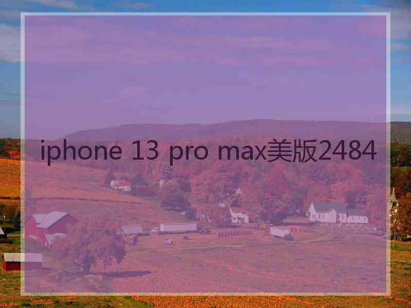 iphone 13 pro max美版2484