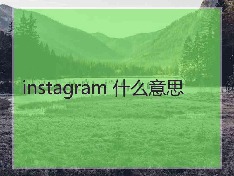 instagram 什么意思