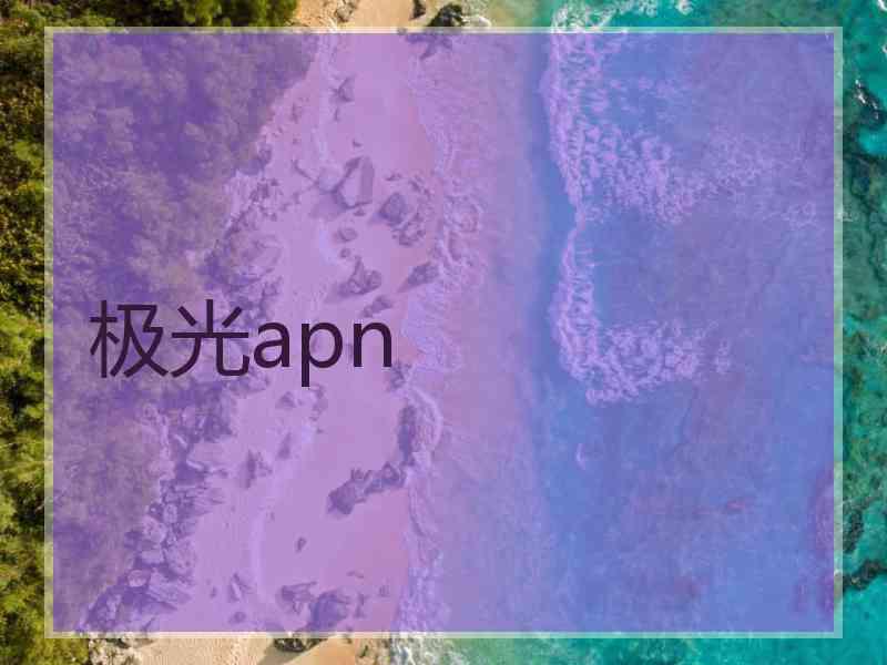 极光apn