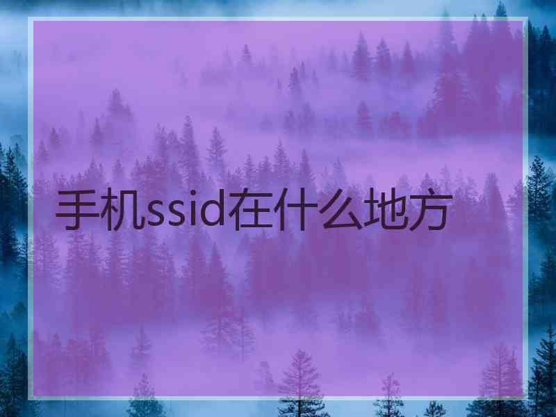 手机ssid在什么地方