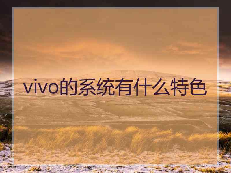 vivo的系统有什么特色