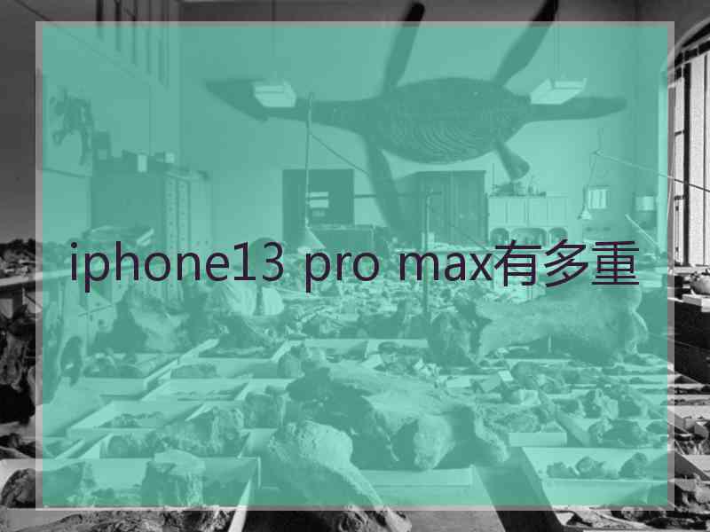 iphone13 pro max有多重