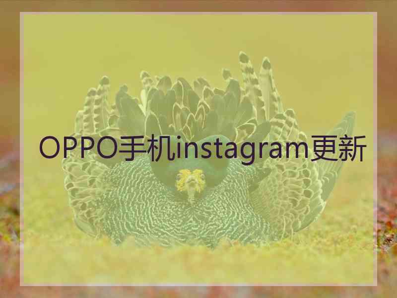 OPPO手机instagram更新