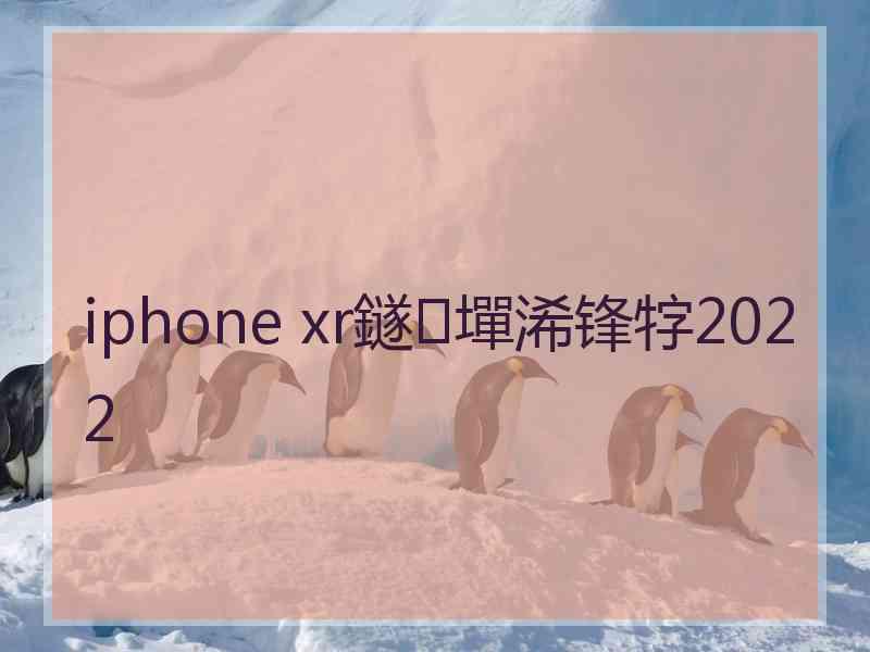 iphone xr鐩墠浠锋牸2022