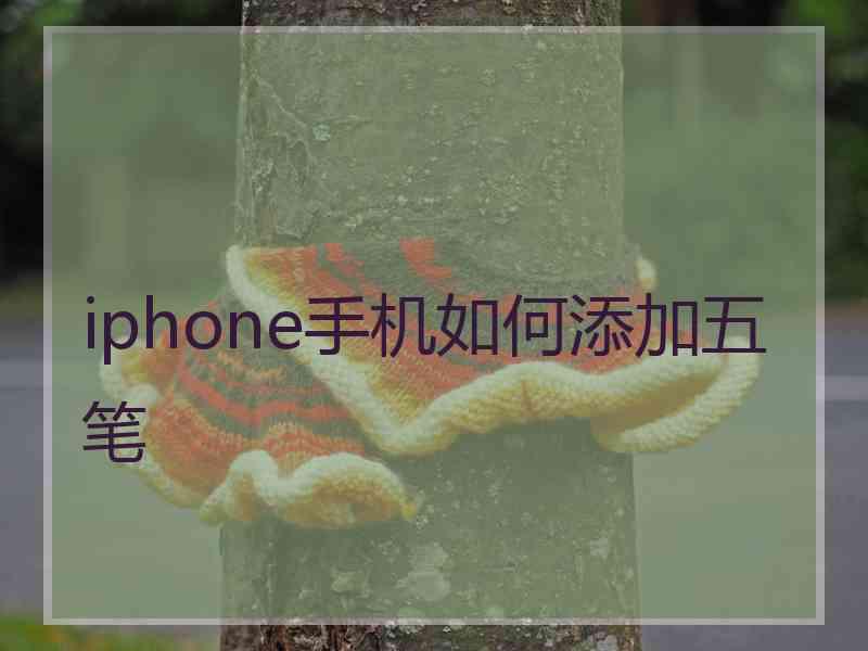 iphone手机如何添加五笔