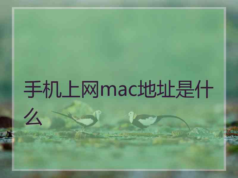 手机上网mac地址是什么