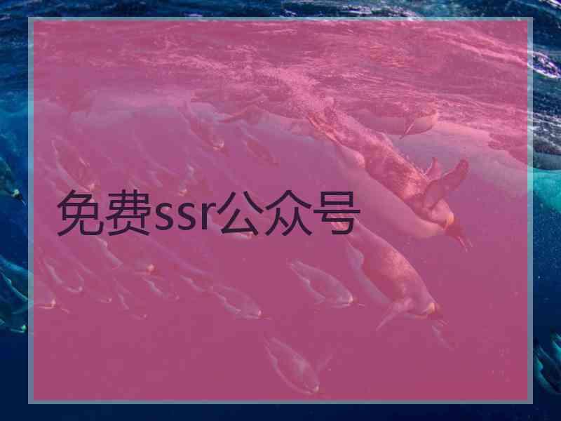 免费ssr公众号