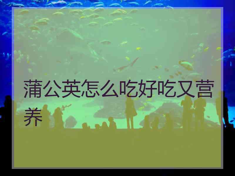 蒲公英怎么吃好吃又营养