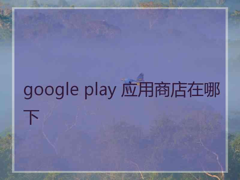 google play 应用商店在哪下