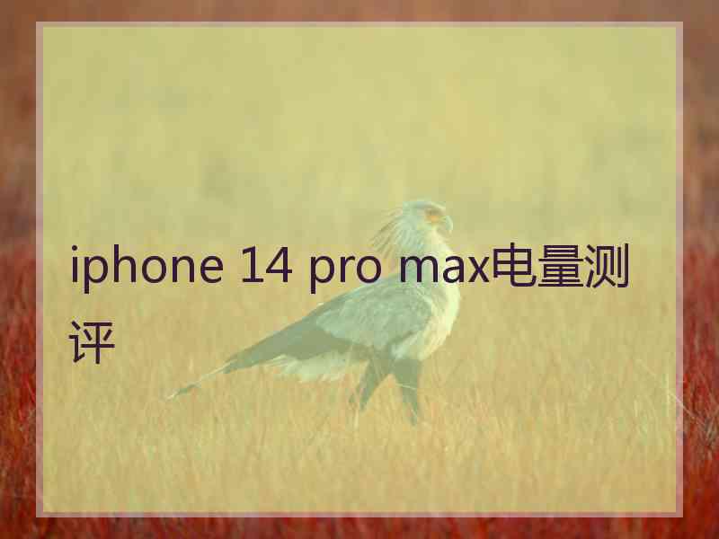 iphone 14 pro max电量测评