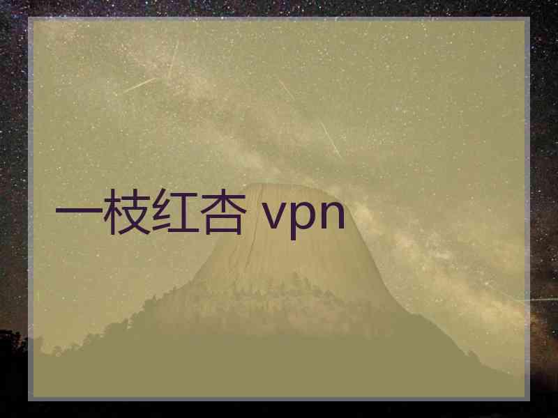 一枝红杏 vpn