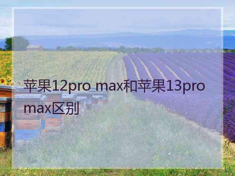 苹果12pro max和苹果13promax区别