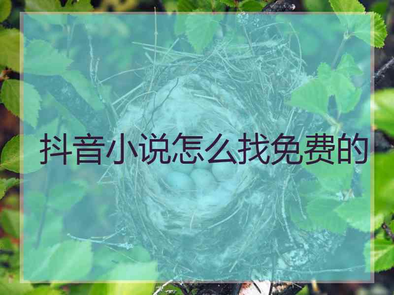 抖音小说怎么找免费的