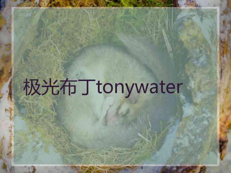 极光布丁tonywater