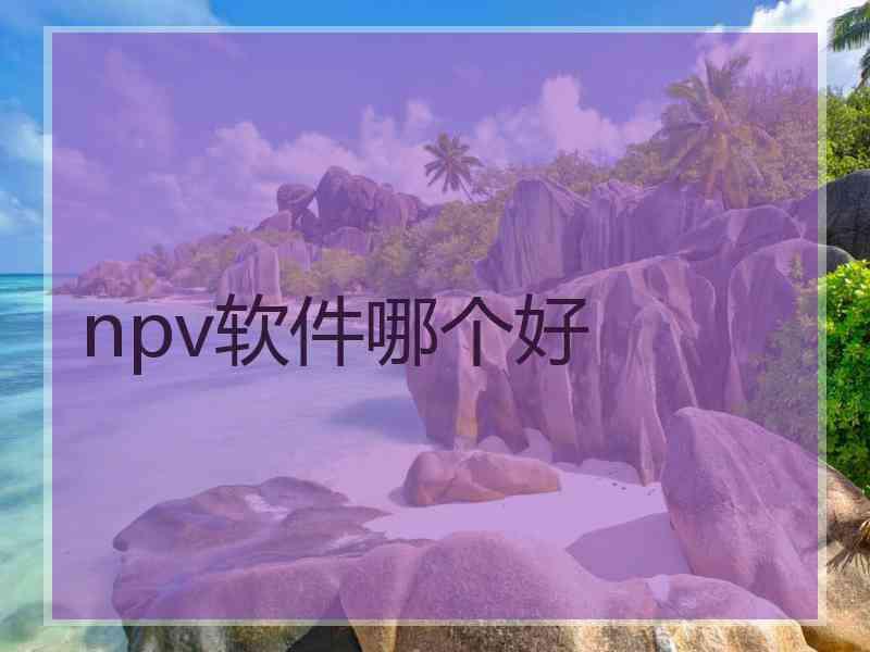 npv软件哪个好