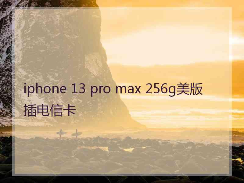 iphone 13 pro max 256g美版插电信卡