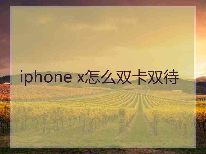 iphone x怎么双卡双待