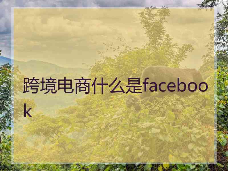 跨境电商什么是facebook