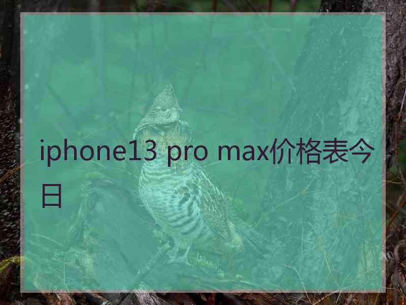 iphone13 pro max价格表今日