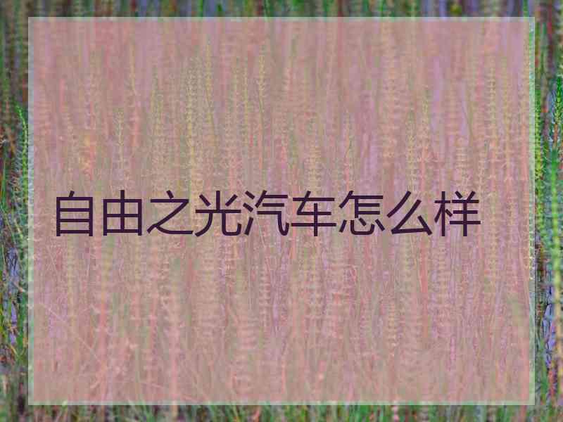 自由之光汽车怎么样