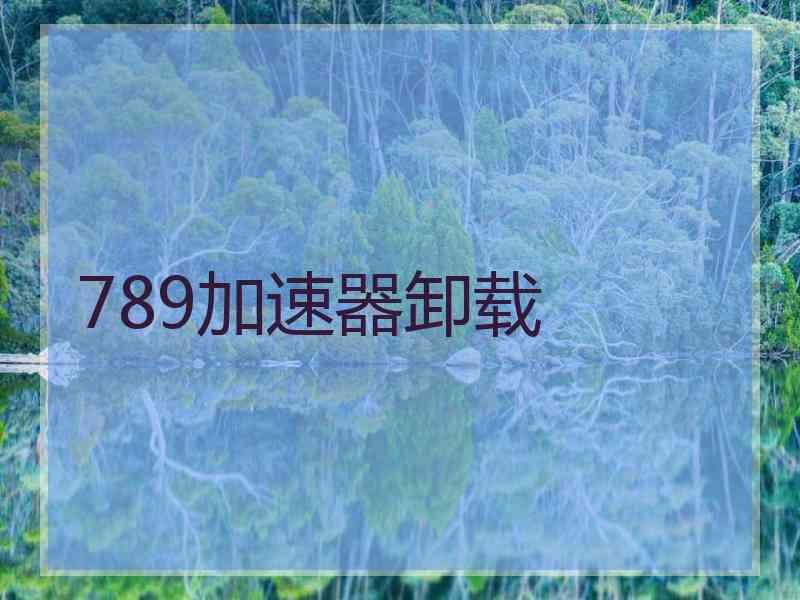 789加速器卸载