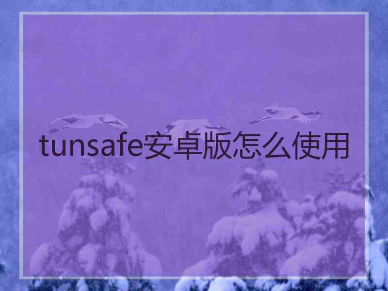 tunsafe安卓版怎么使用