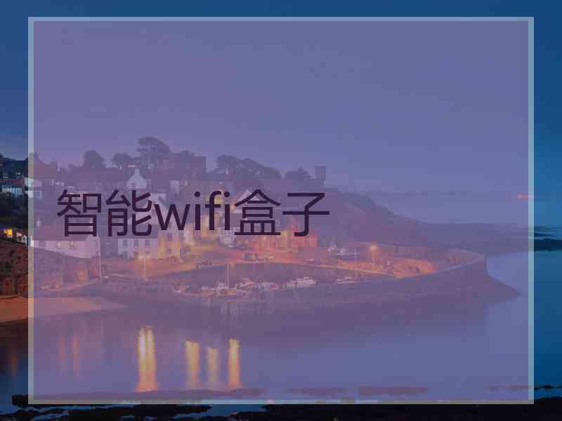 智能wifi盒子