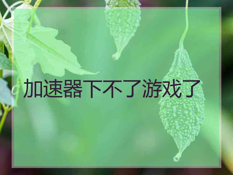 加速器下不了游戏了