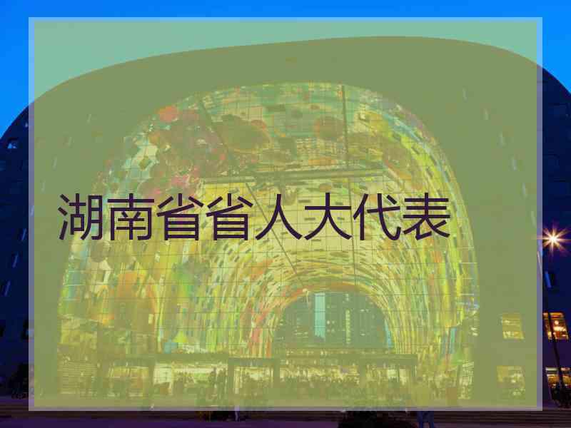 湖南省省人大代表