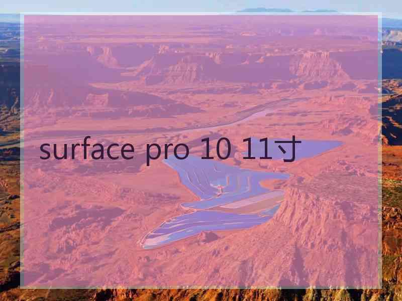 surface pro 10 11寸