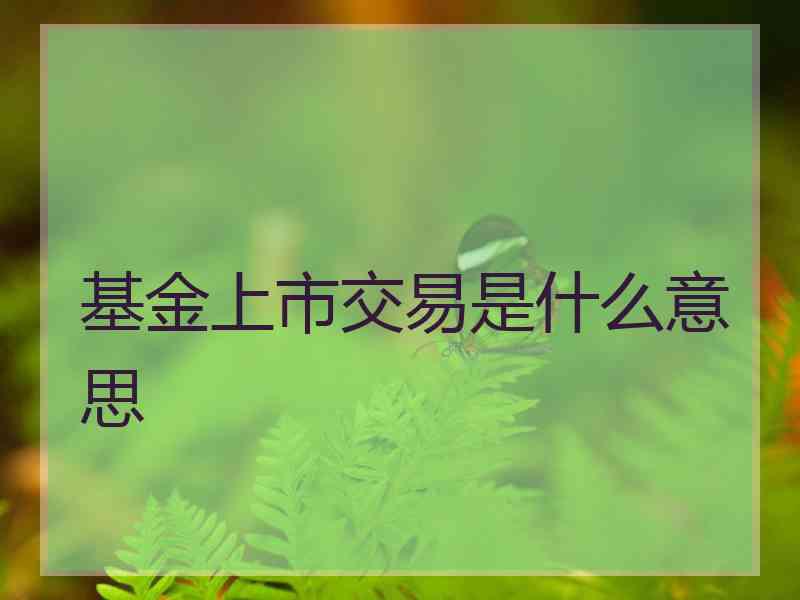 基金上市交易是什么意思