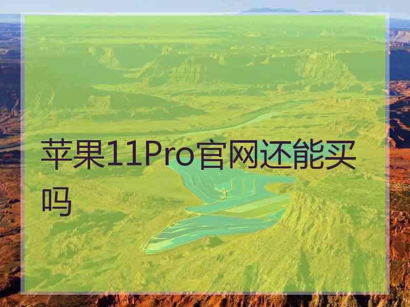 苹果11Pro官网还能买吗