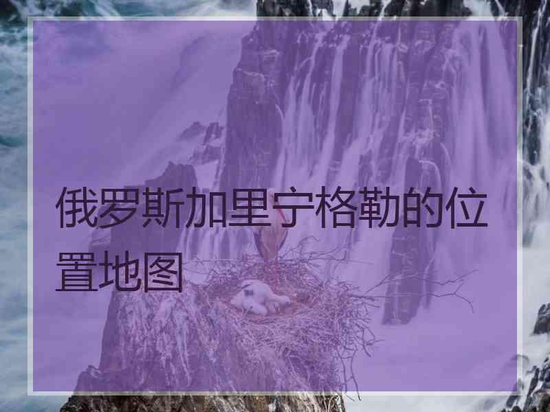 俄罗斯加里宁格勒的位置地图