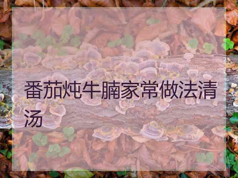 番茄炖牛腩家常做法清汤